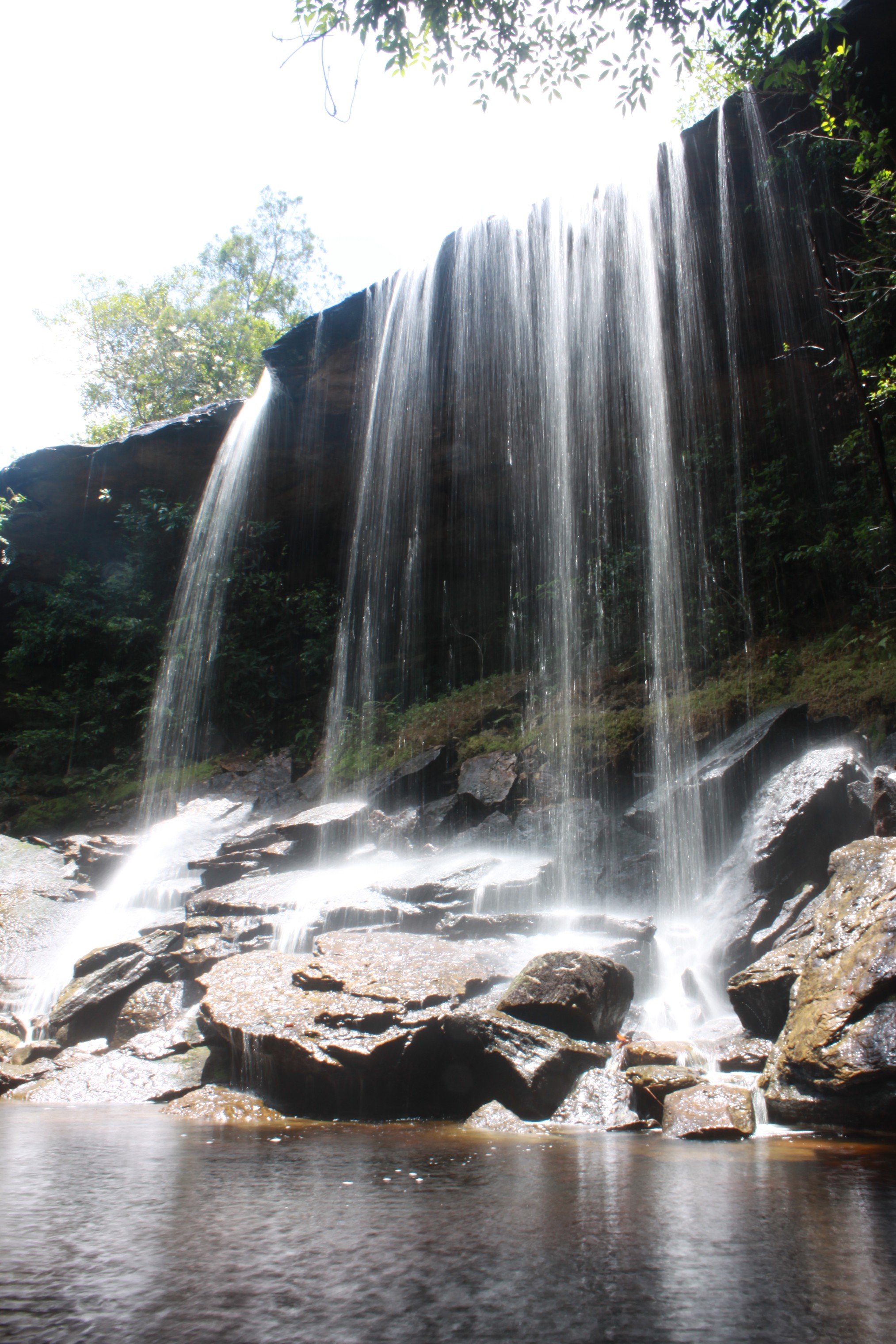 Photo Survey @ ภูกระดึง