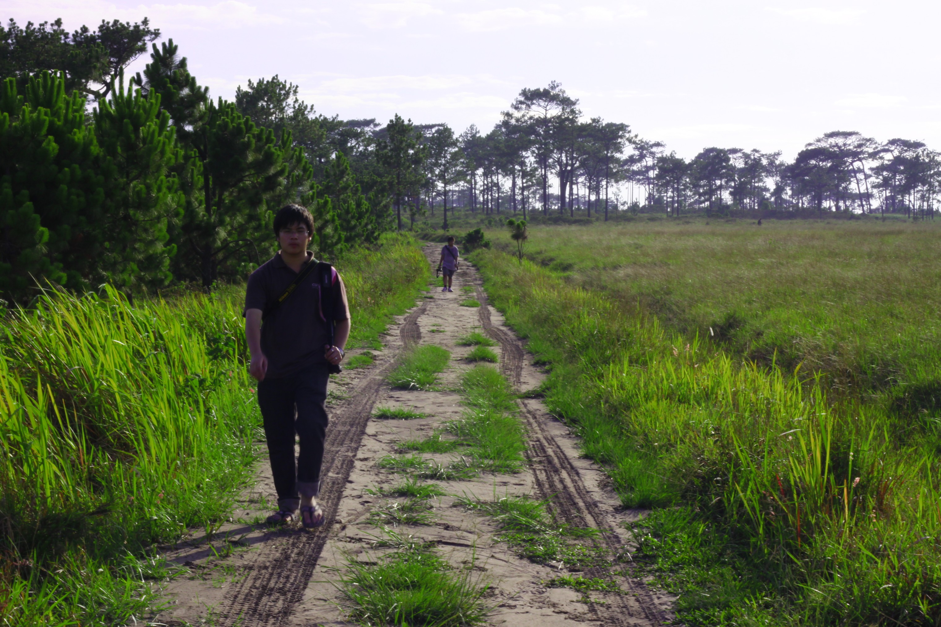 Photo Survey @ ภูกระดึง