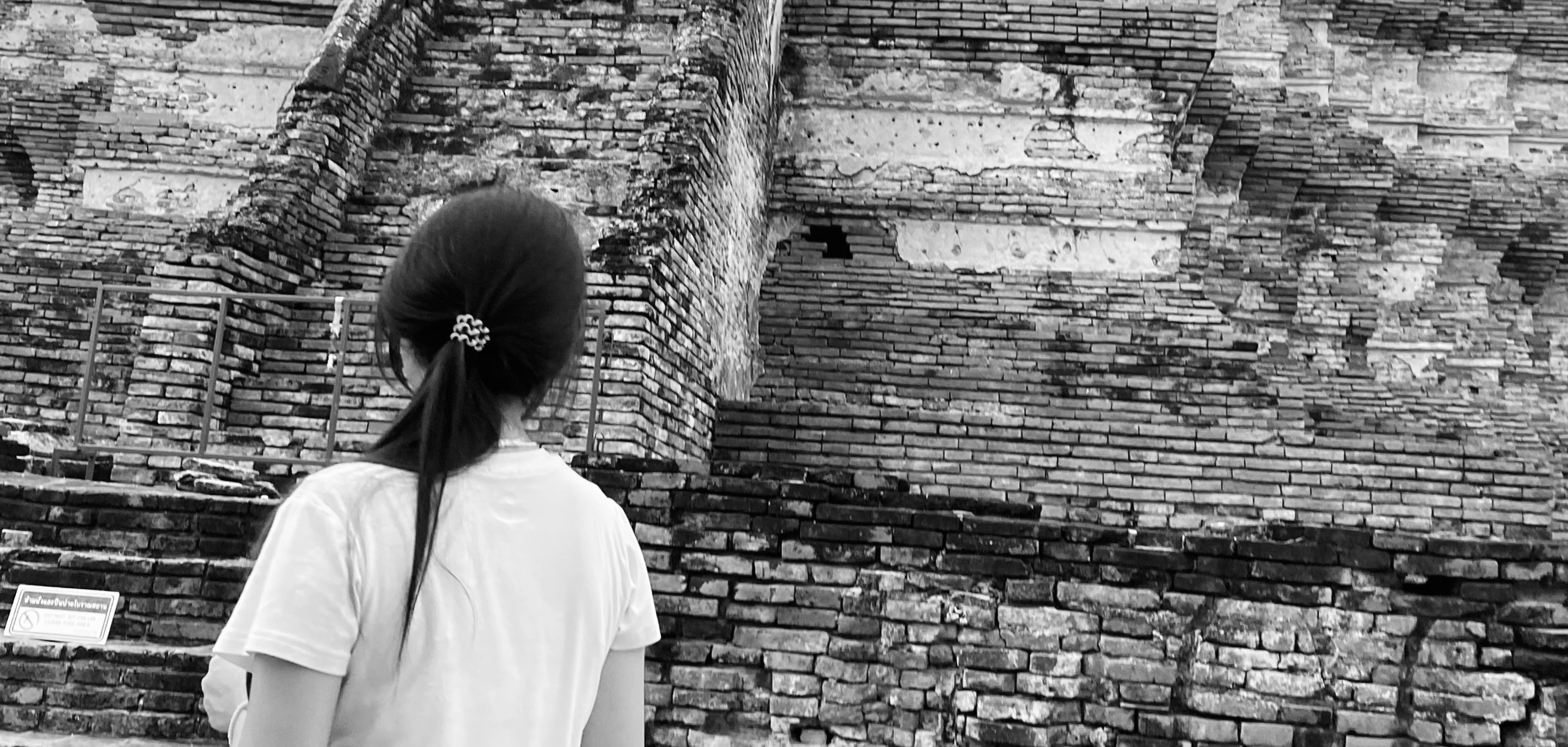 Photo Contest
Oneday 2024