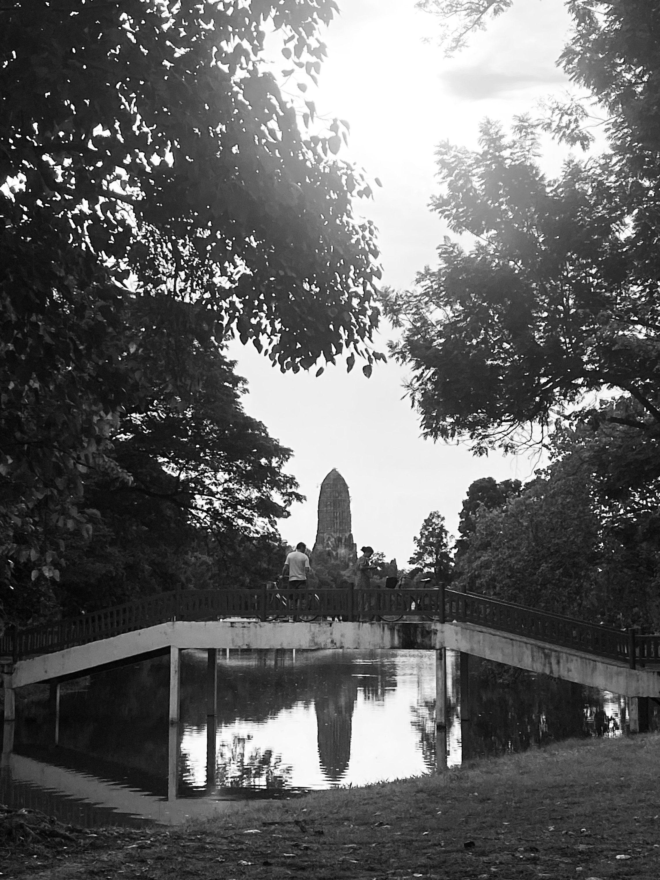 Photo Contest
Oneday 2024