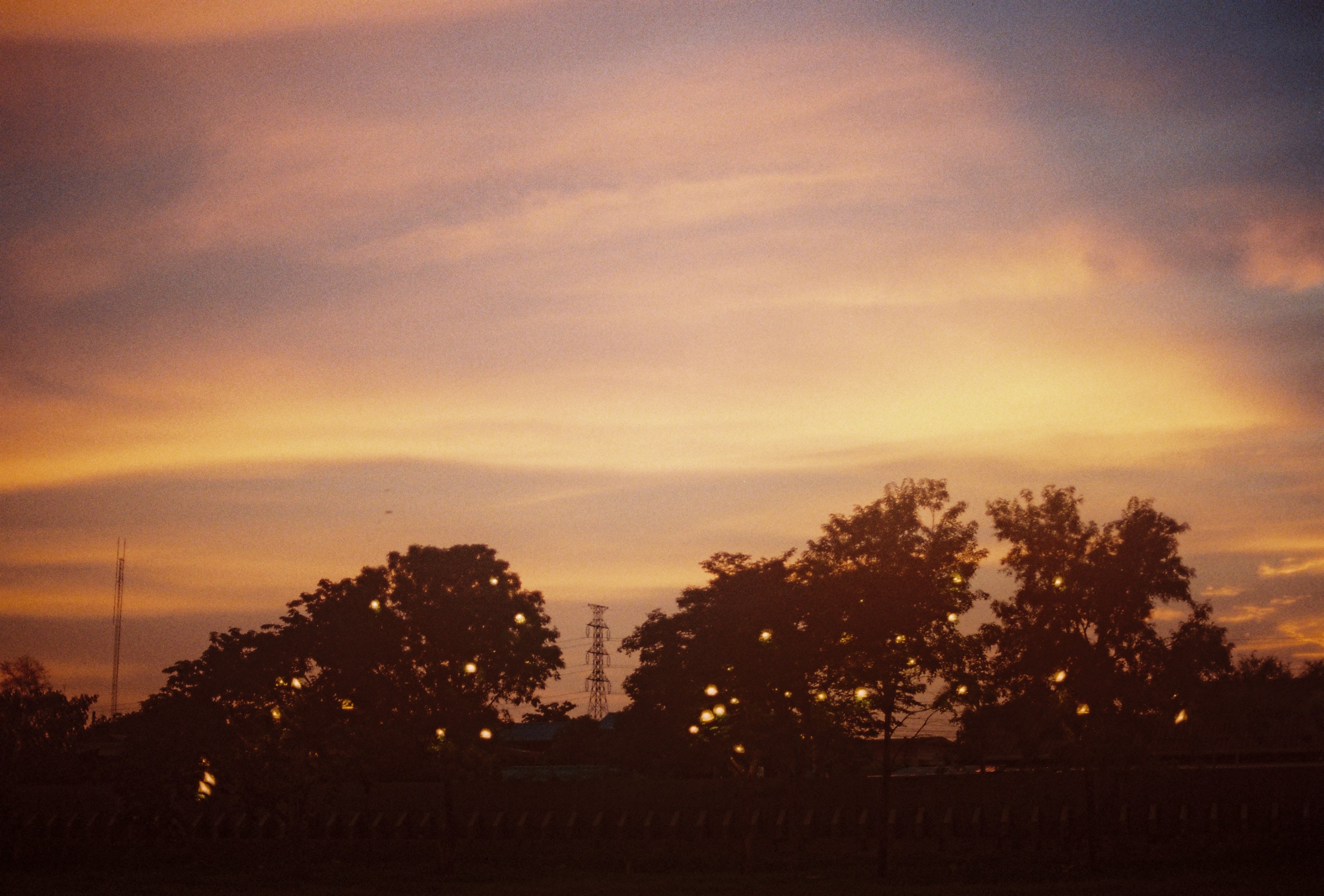 Photo Contest
Oneday 2024
