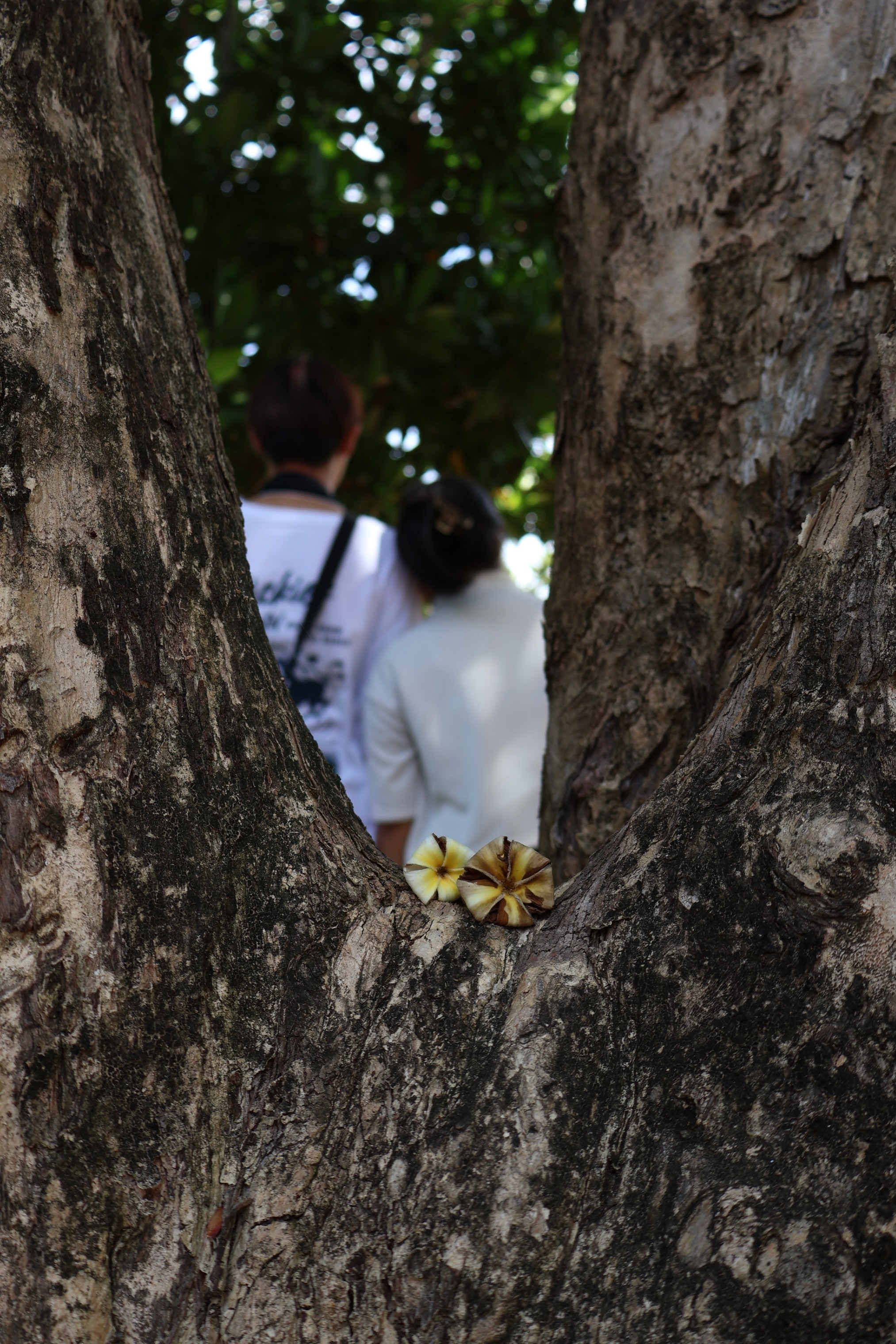 Photo Contest
Oneday 2024