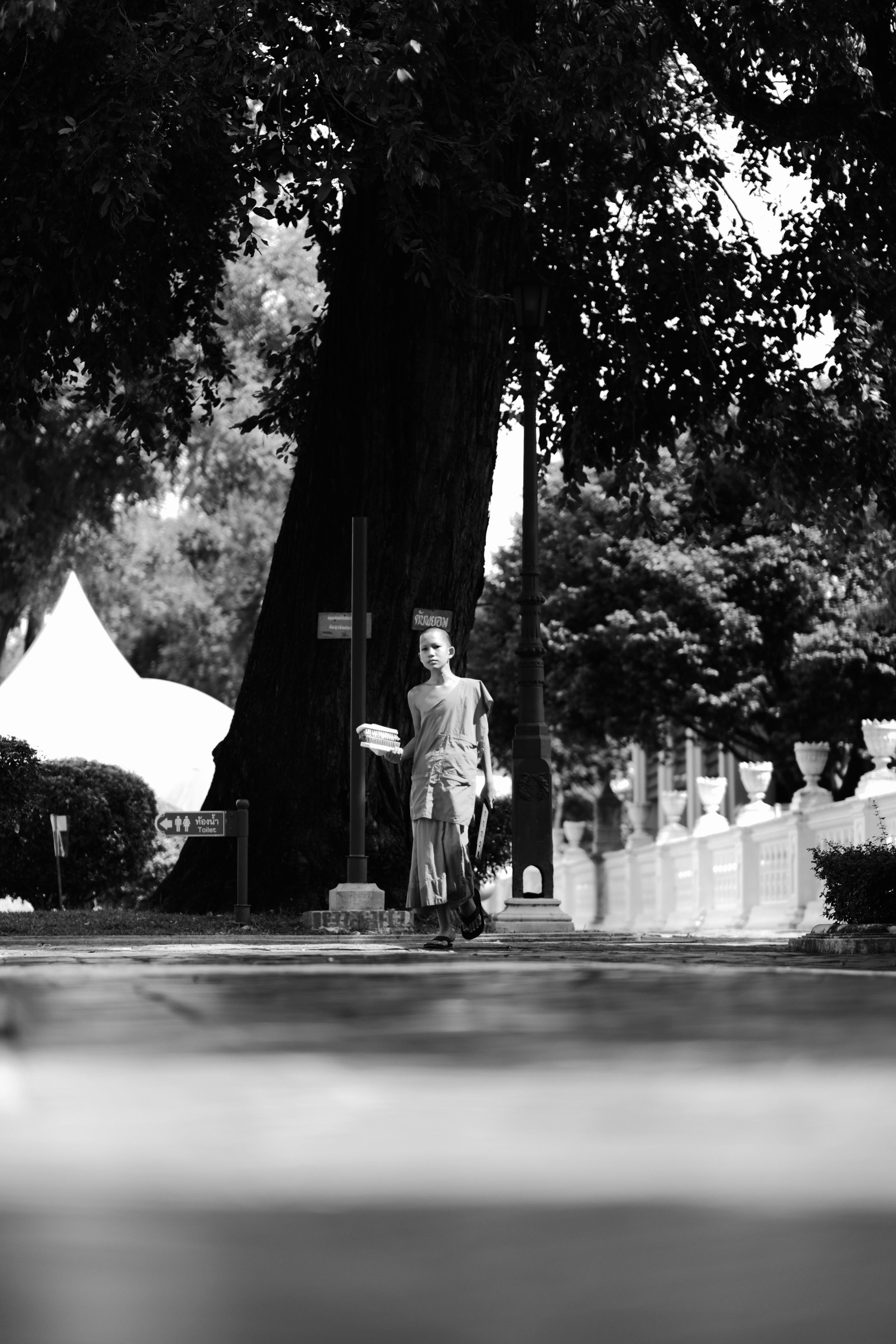Photo Contest
Oneday 2024