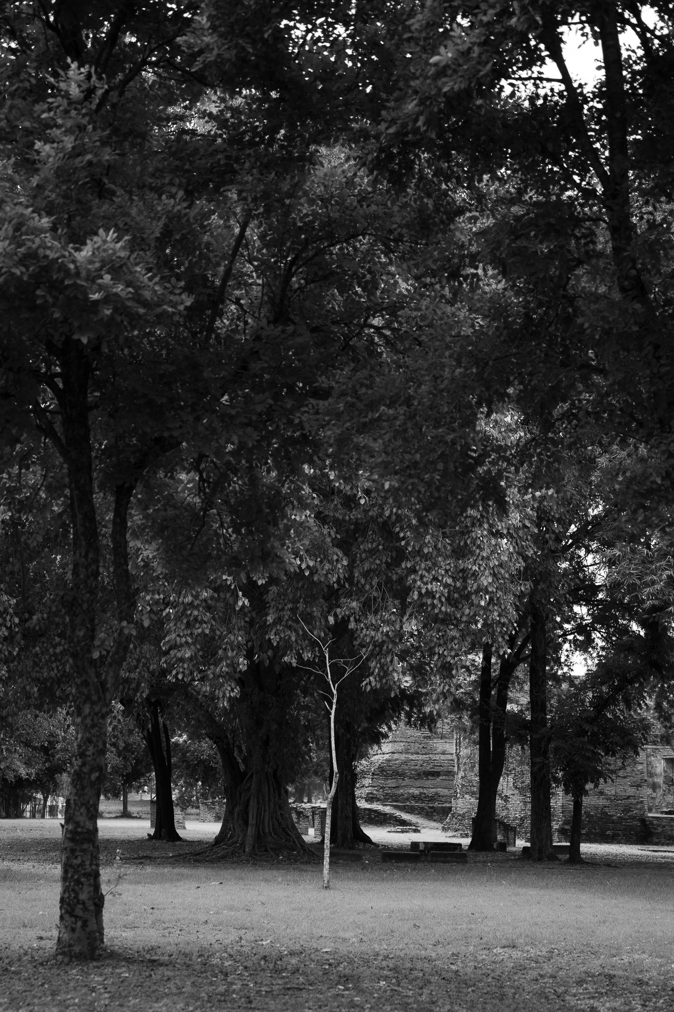 Photo Contest
Oneday 2024