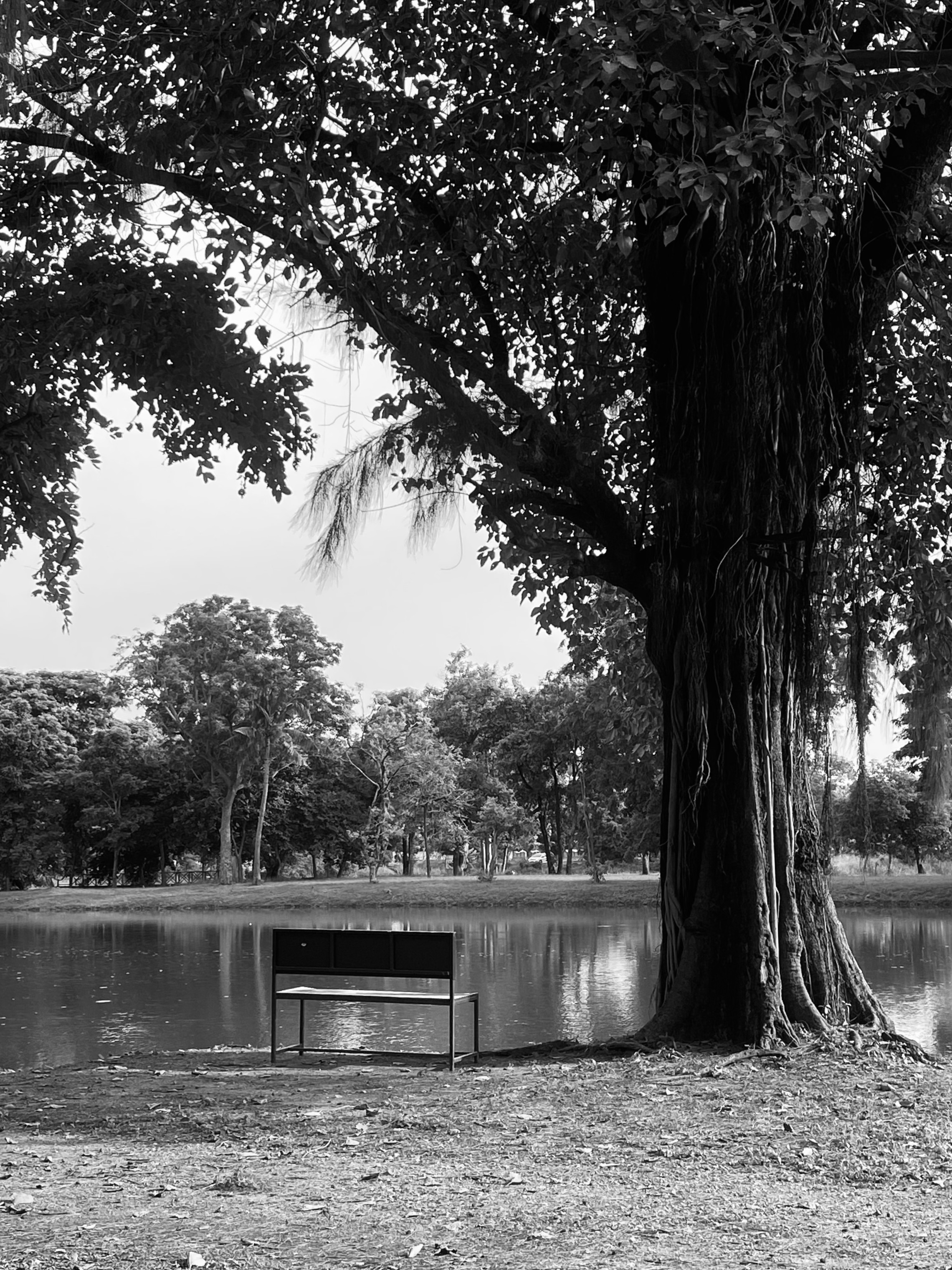 Photo Contest
Oneday 2024
