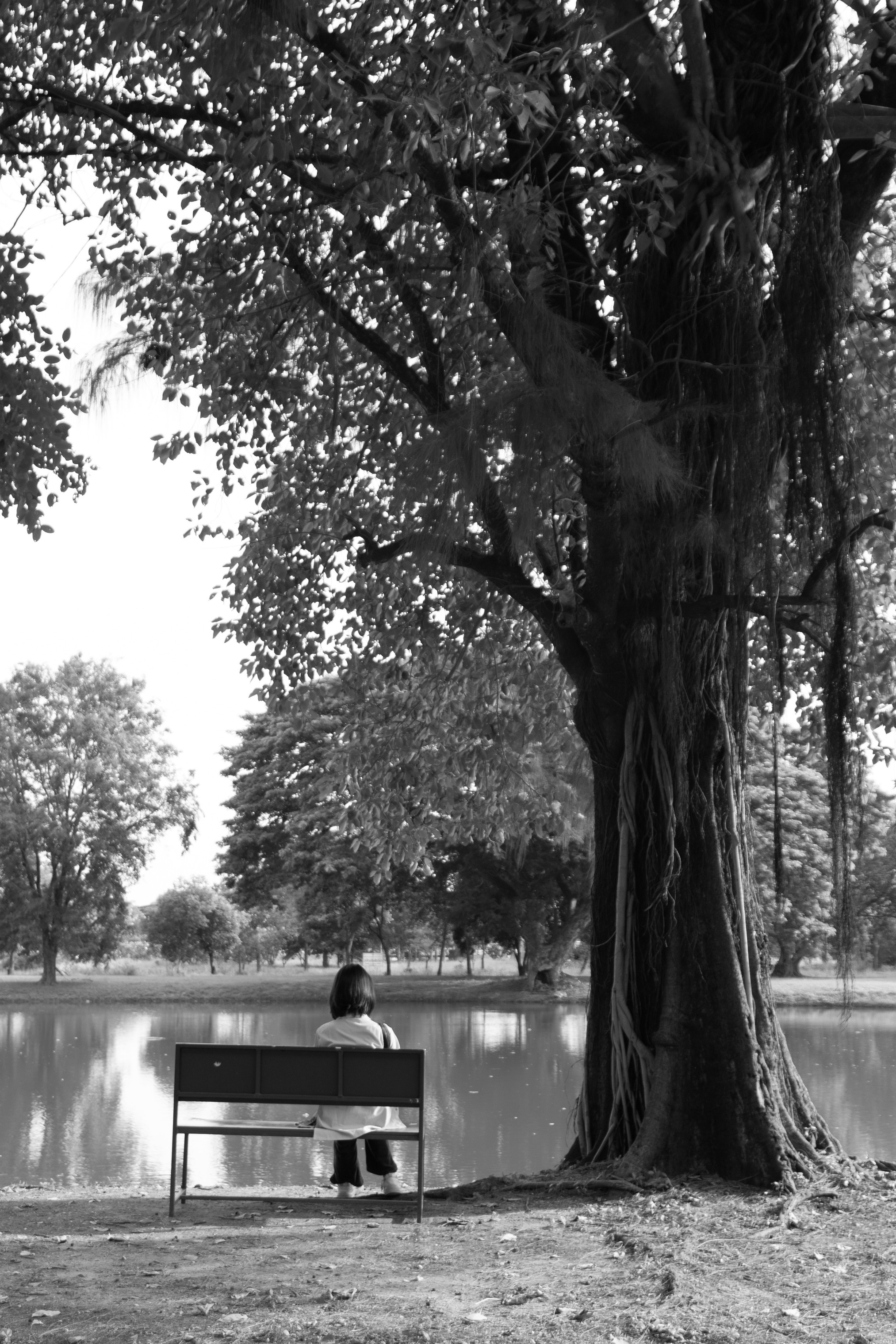 Photo Contest
Oneday 2024