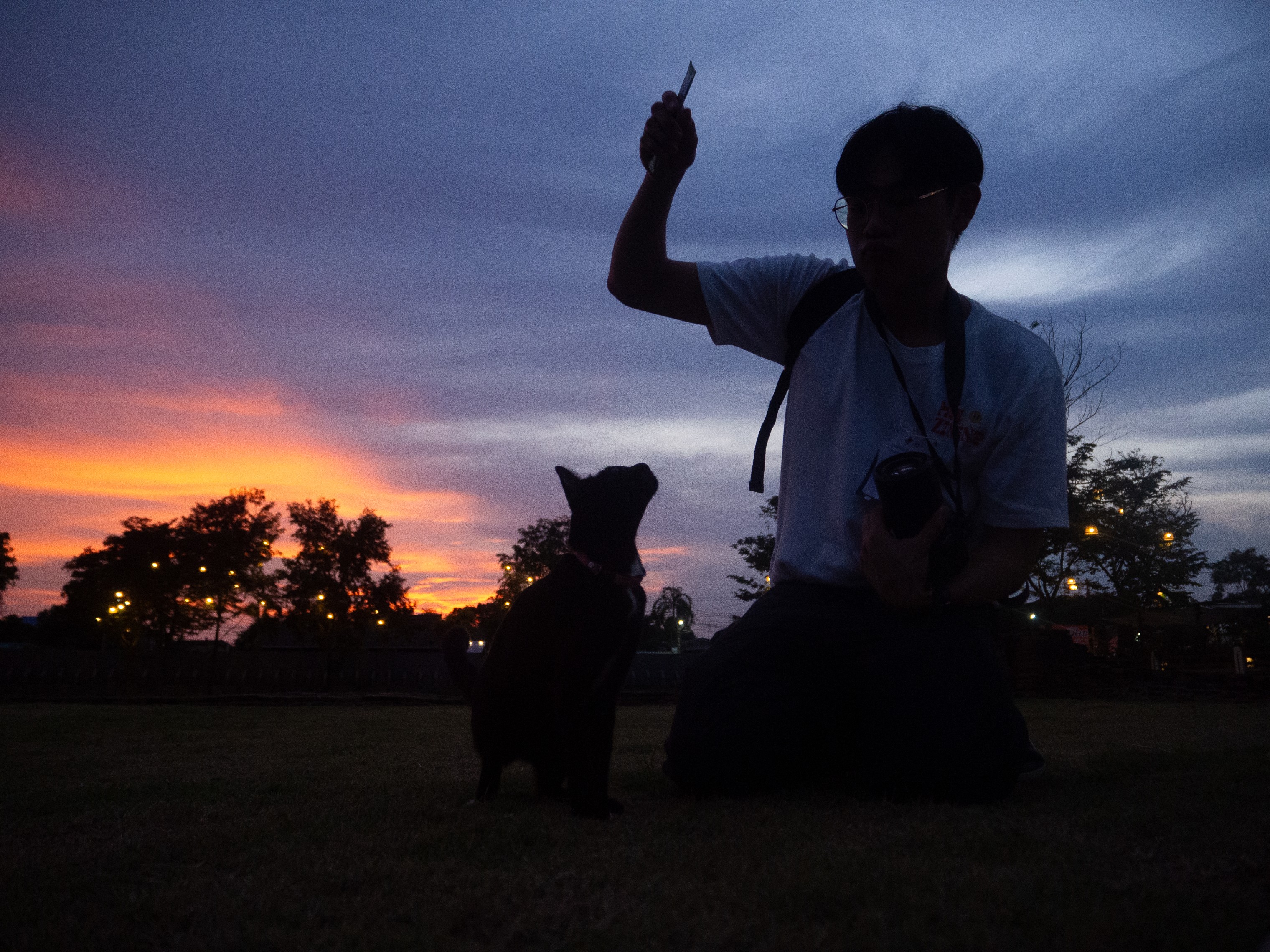 Photo Contest
Oneday 2024