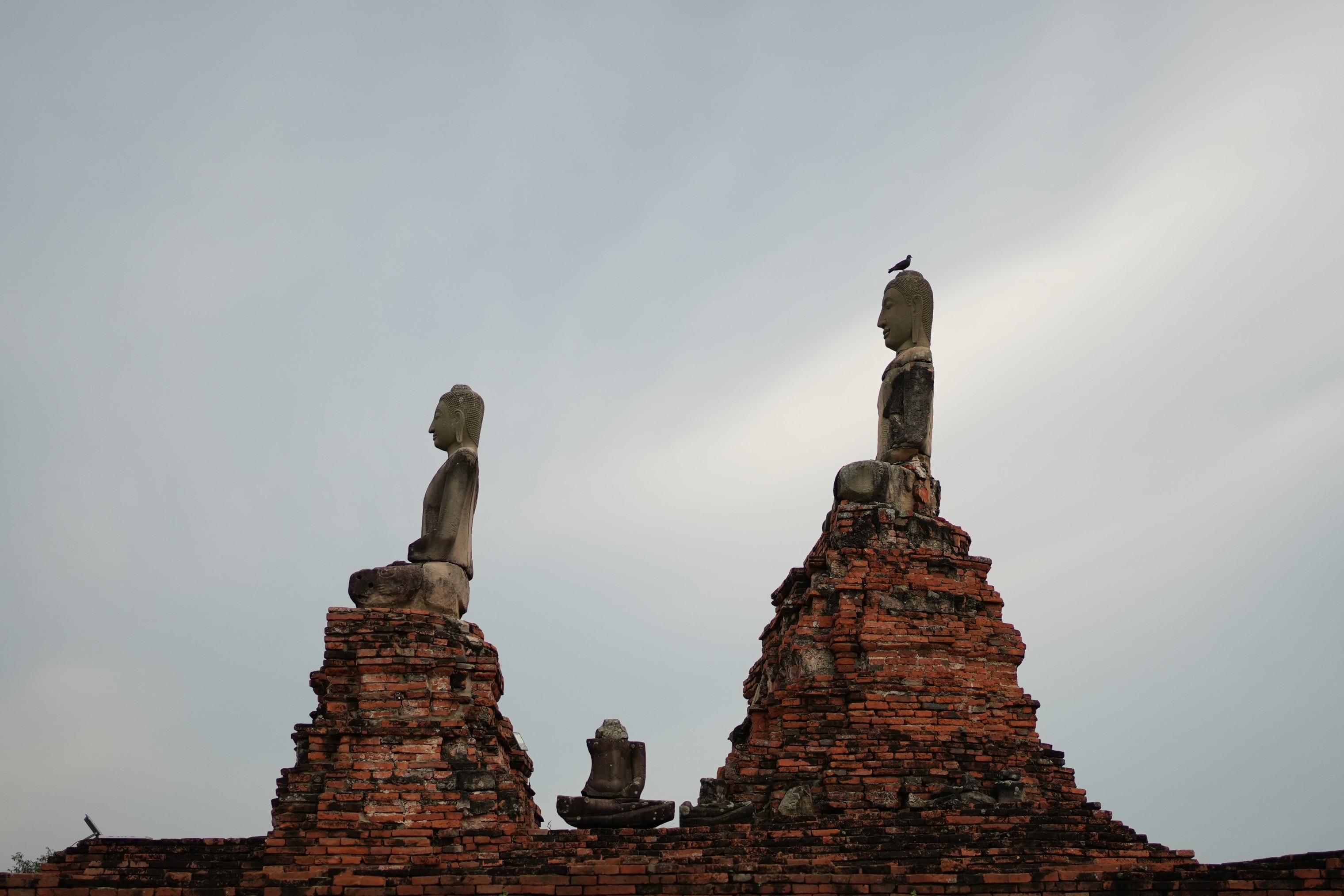 Photo Contest
Oneday 2024