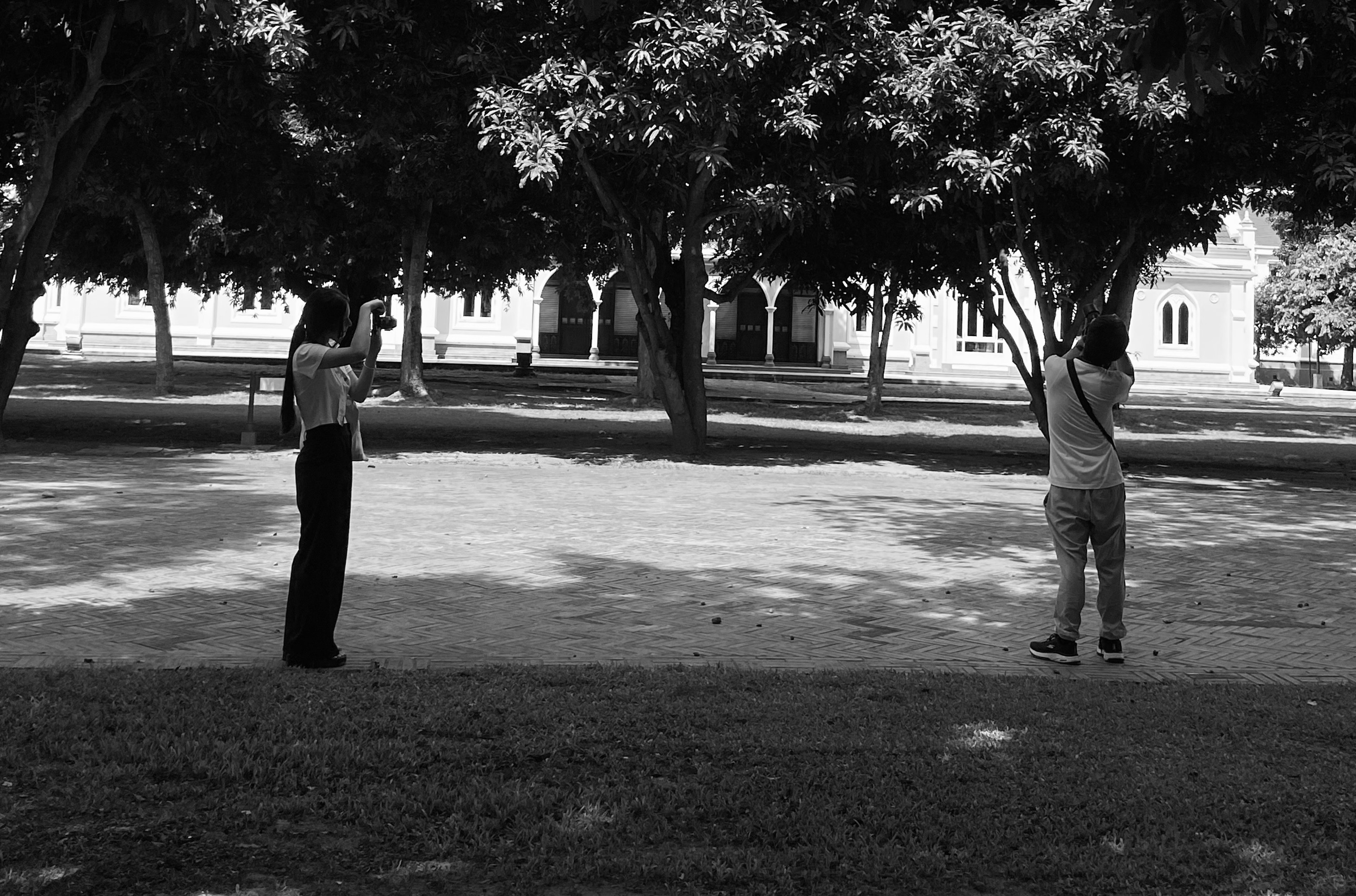 Photo Contest
Oneday 2024
