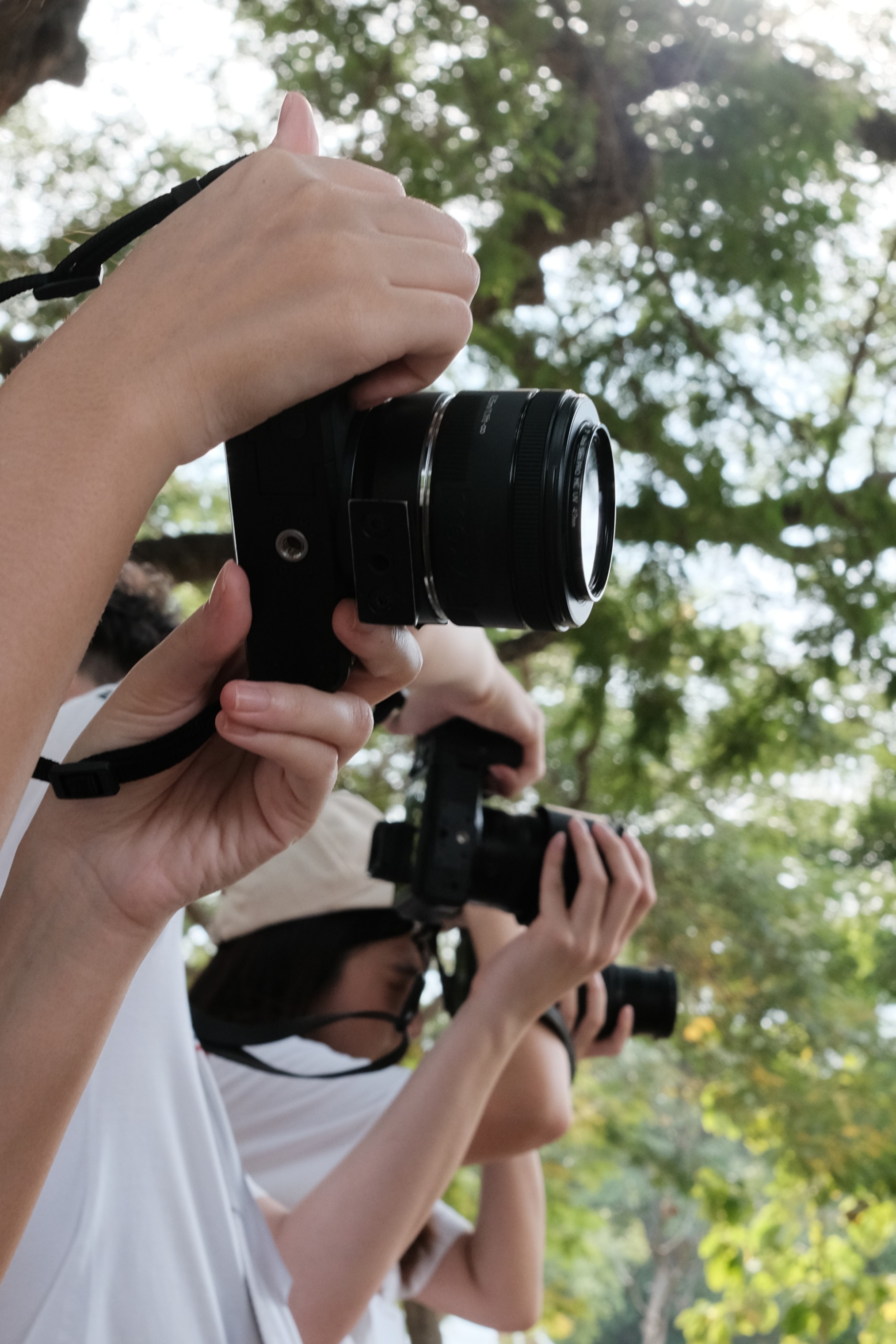 Photo Contest
Oneday 2024