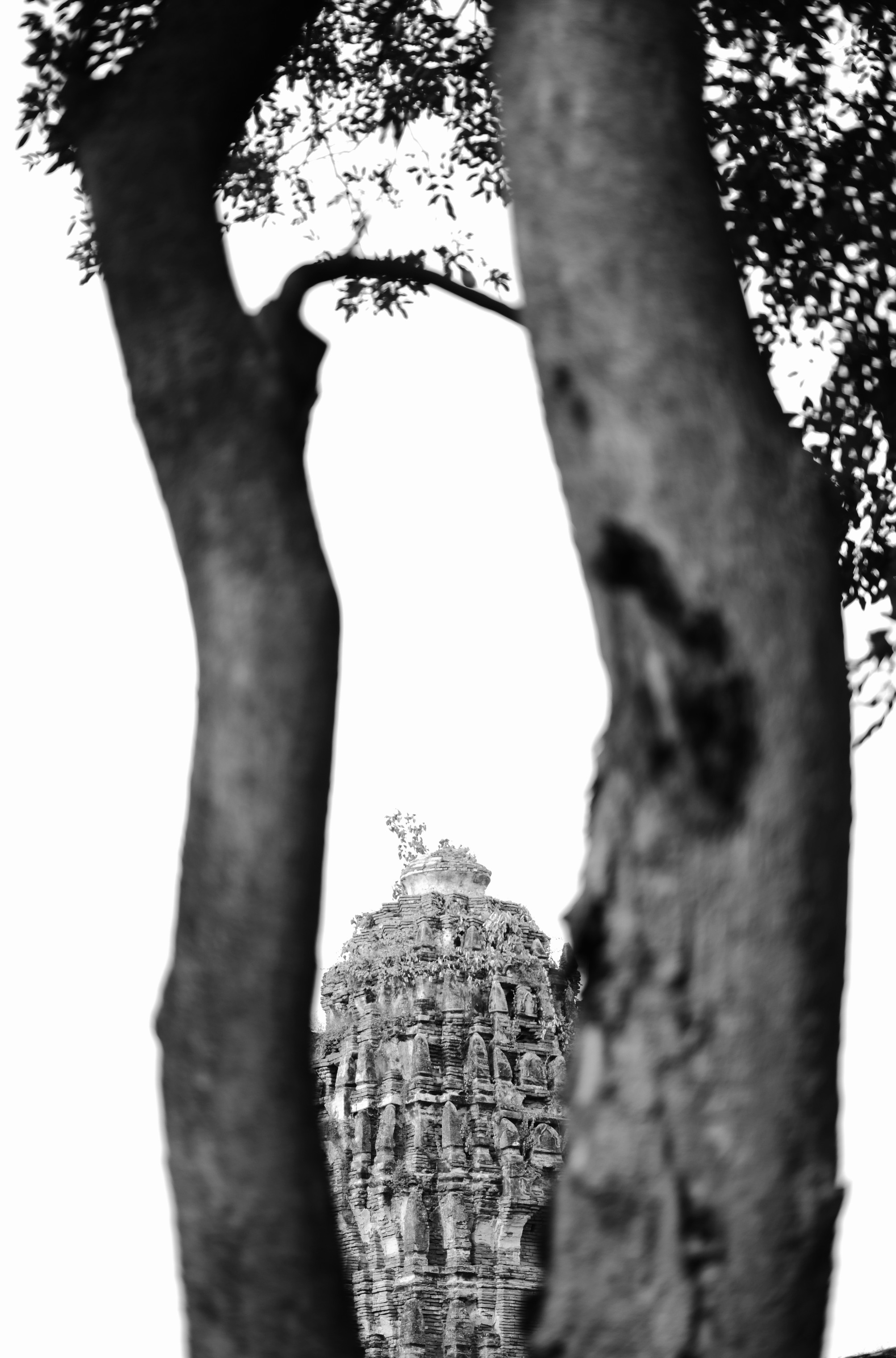 Photo Contest
Oneday 2024