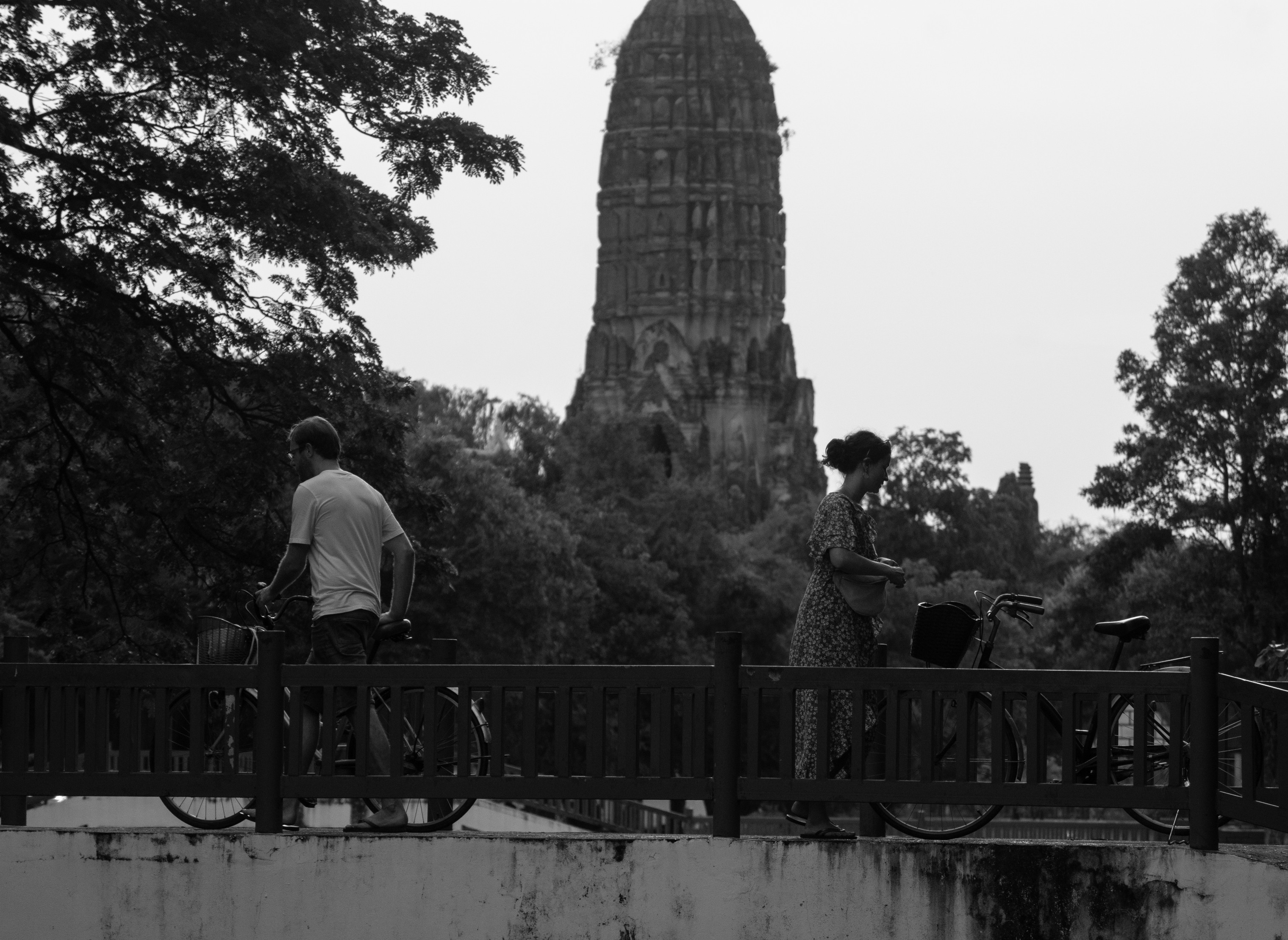 Photo Contest
Oneday 2024