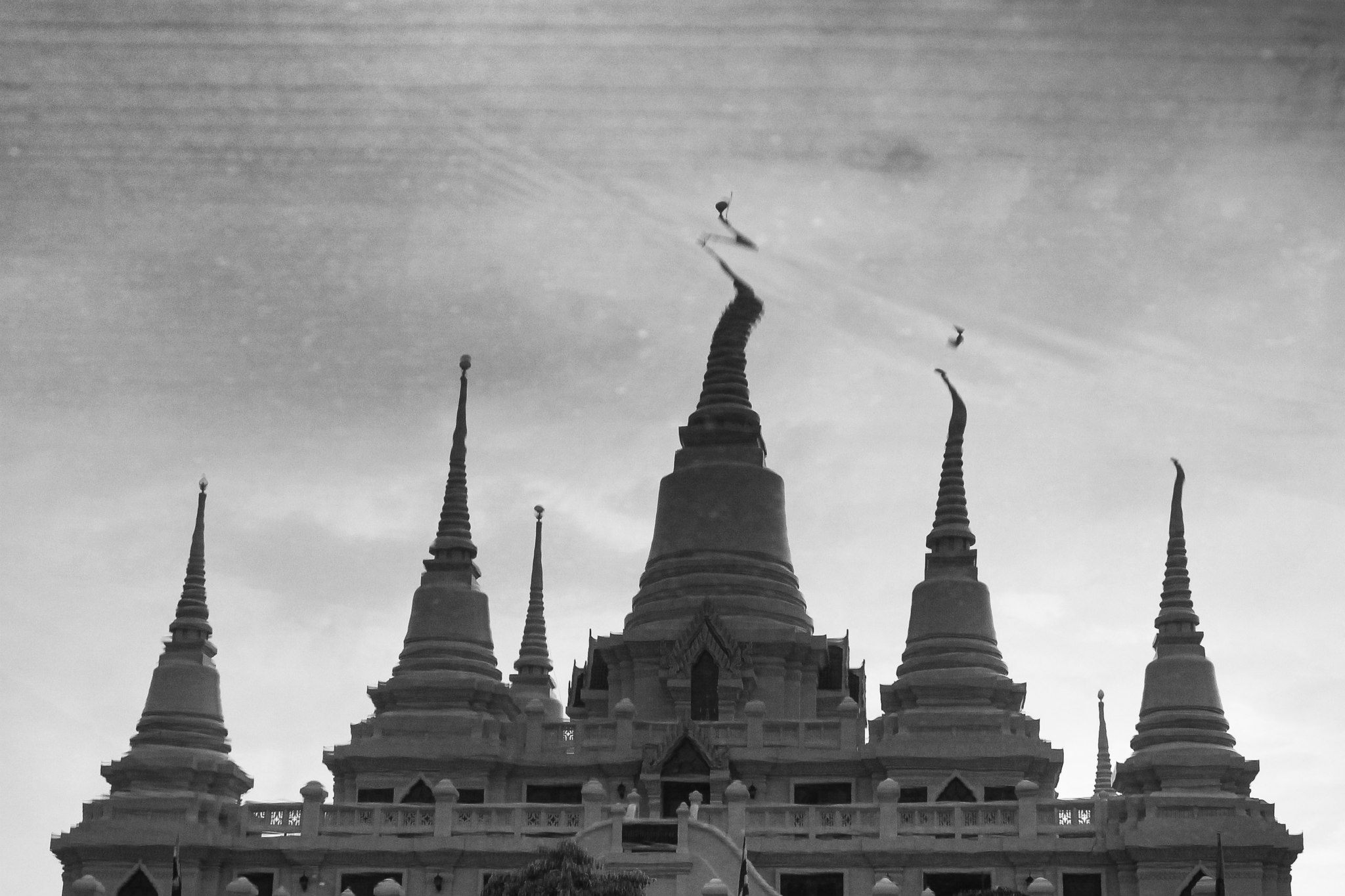 ประกวดภาพถ่าย
One Day trip 2014