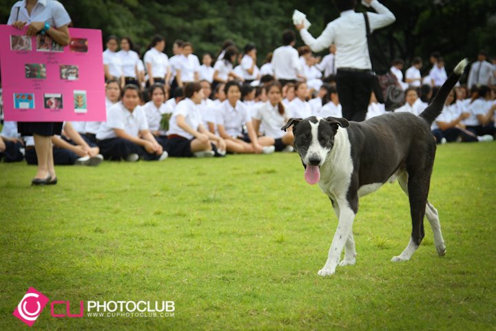 Student Orientation 2012