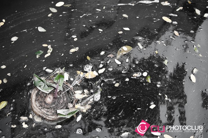 Thai Floods 2011