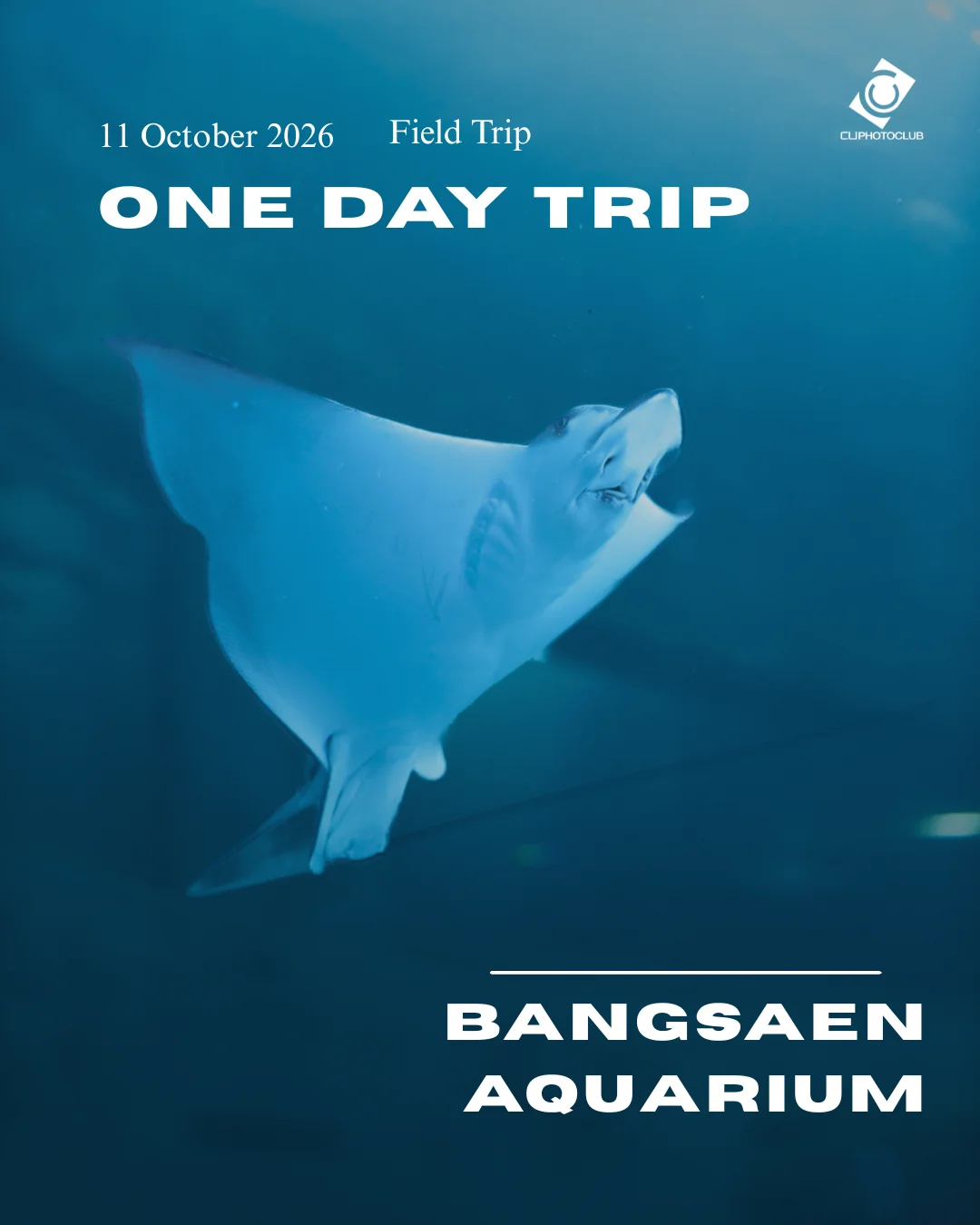 Basic Control & One Day Trip 2026, gallery image 3