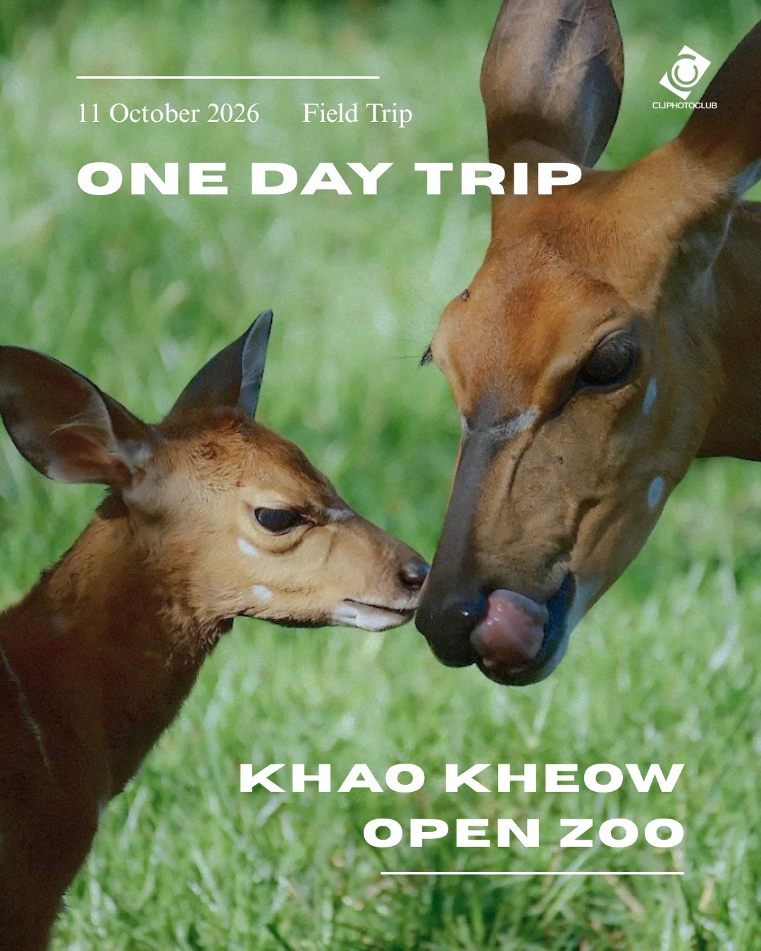 Basic Control & One Day Trip 2026, gallery image 1